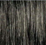 A belle Synthetic Full Wig - ZAILA